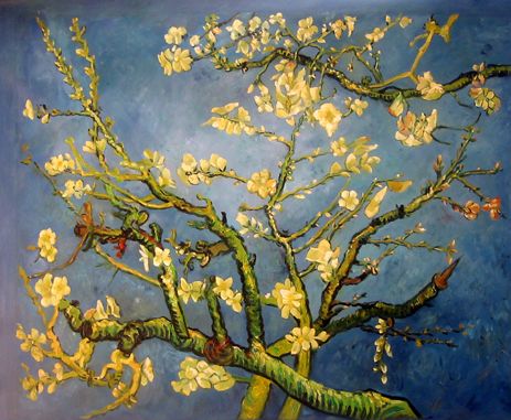 Almond Blossom